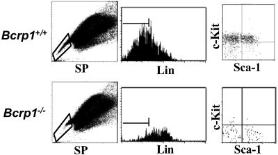 Fig 4.