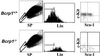 Fig 4.