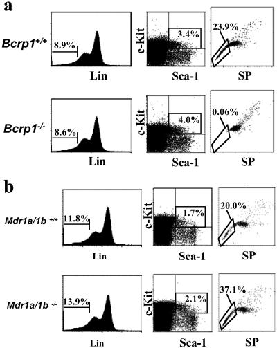 Fig 5.