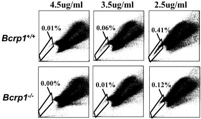 Fig 2.