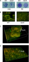 FIG. 6.