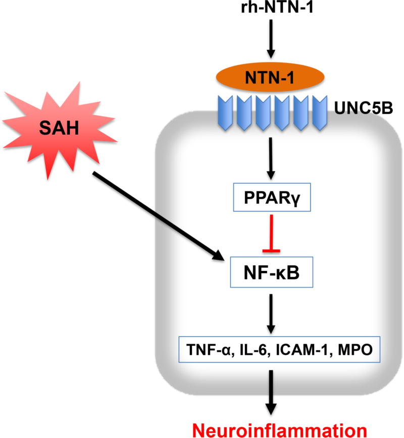 Fig. 11