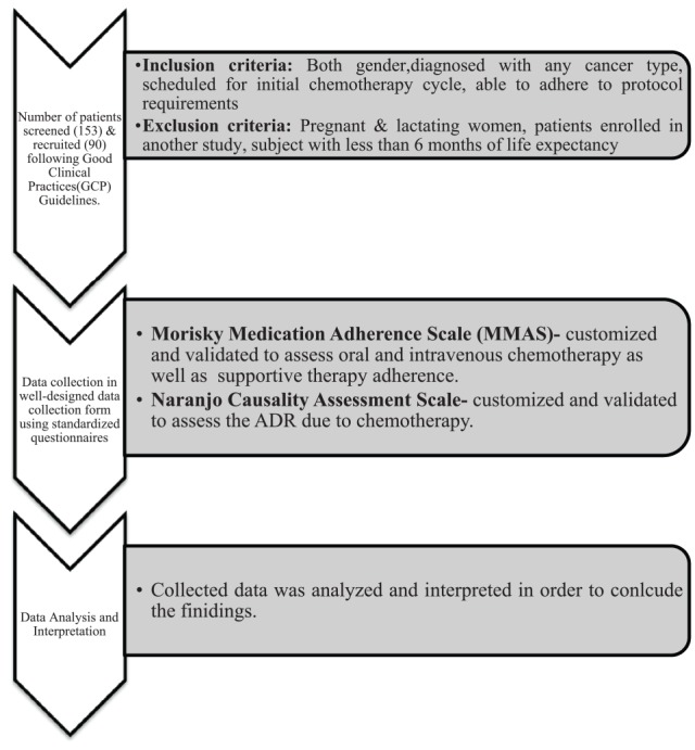 Parallel Assessment of Chemotherapy Adherence and Supportive Therapy ...