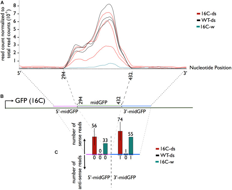 FIGURE 3