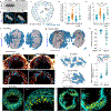 Extended Data Figure 5.