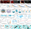 Extended Data Figure 3.