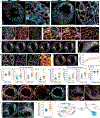 Extended Data Figure 4.