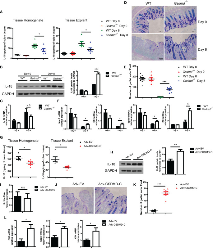 Figure 6