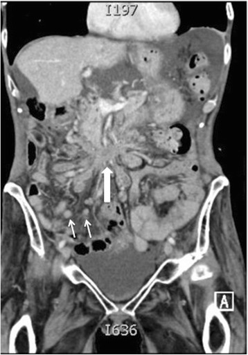 Fig. 7