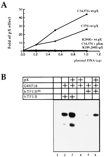 FIG. 7