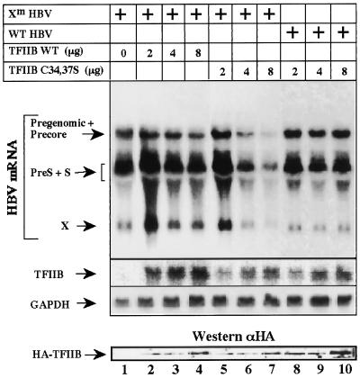 FIG. 5