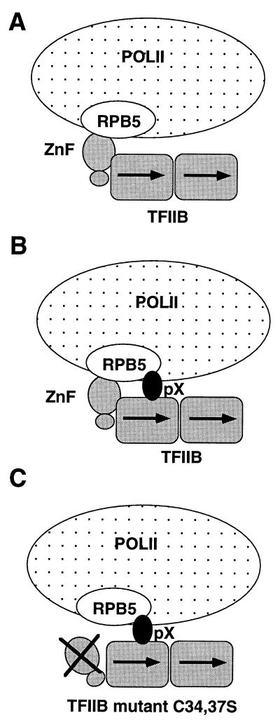 FIG. 9