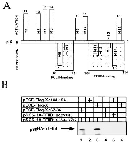 FIG. 8