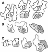 Figure 8.