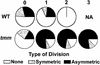 Figure 9.