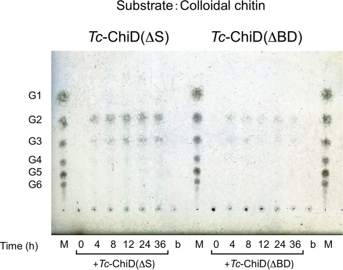 FIG 4