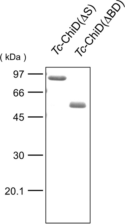 FIG 2