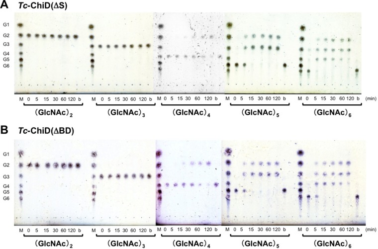 FIG 3