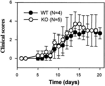 FIG. 7.