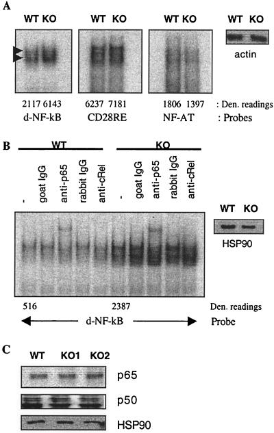 FIG. 5.