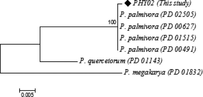 Fig. 3