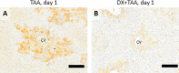 Fig. 8.