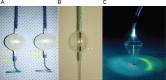 Figure 2: