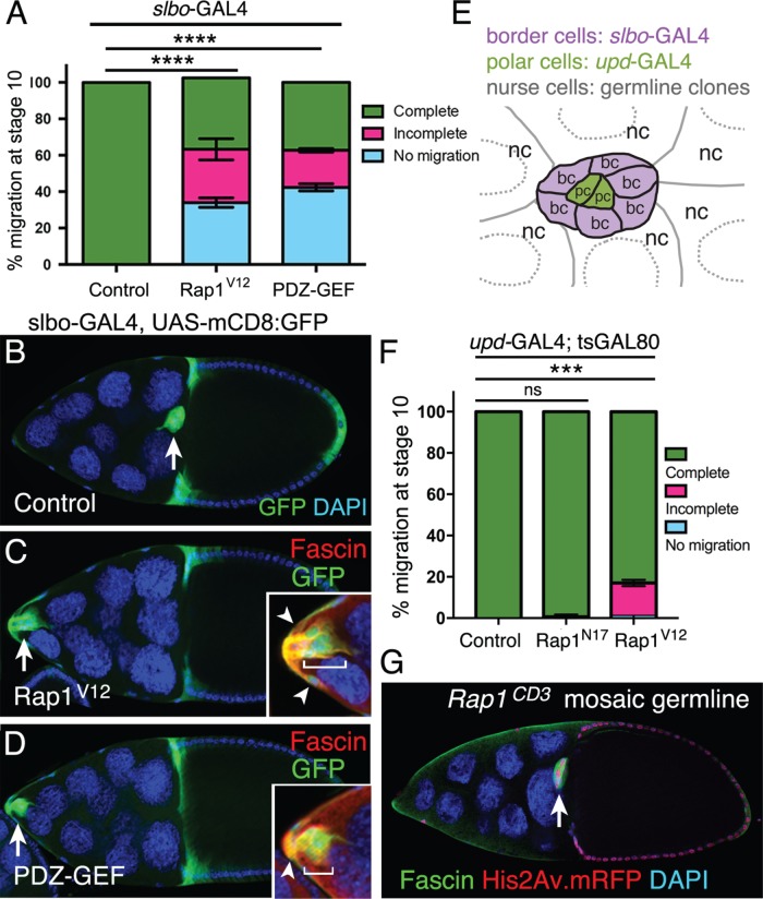 FIGURE 3: