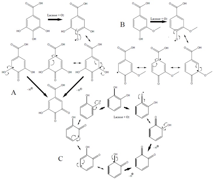 Scheme 4