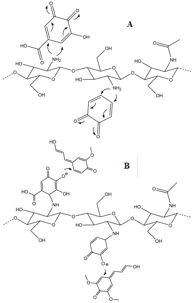 Scheme 3