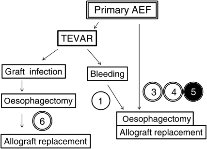 Figure 1: