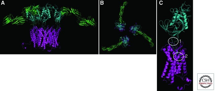 Figure 2.