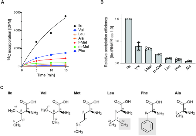 Figure 3.