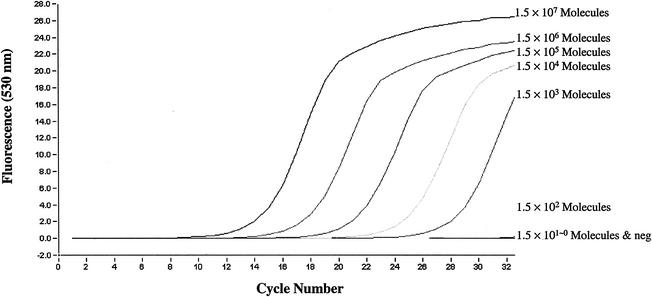 FIG. 5.