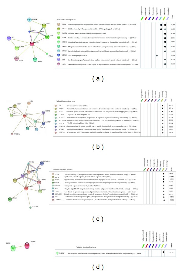 Figure 13