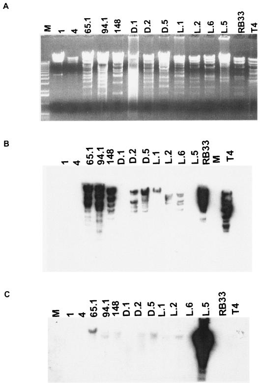 FIG. 3.