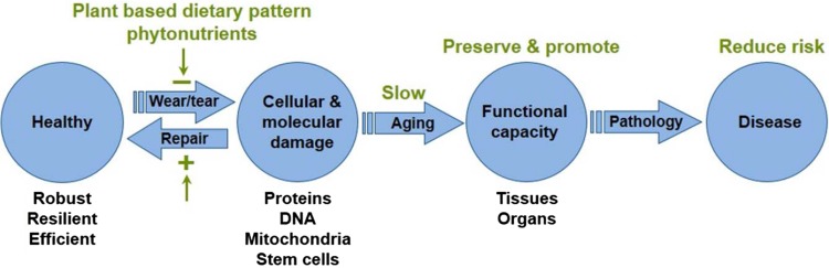 Fig. 4