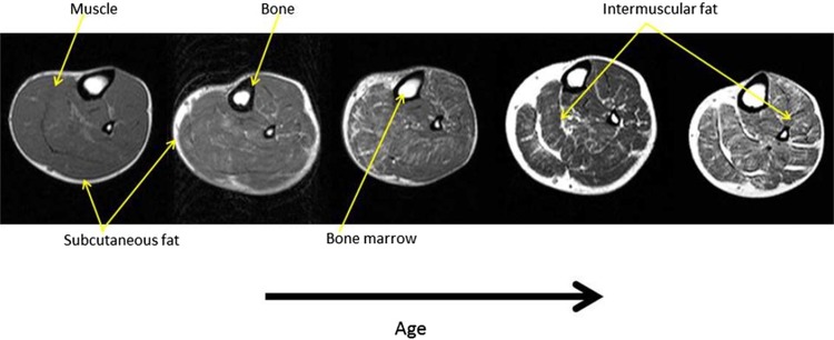 Fig. 3