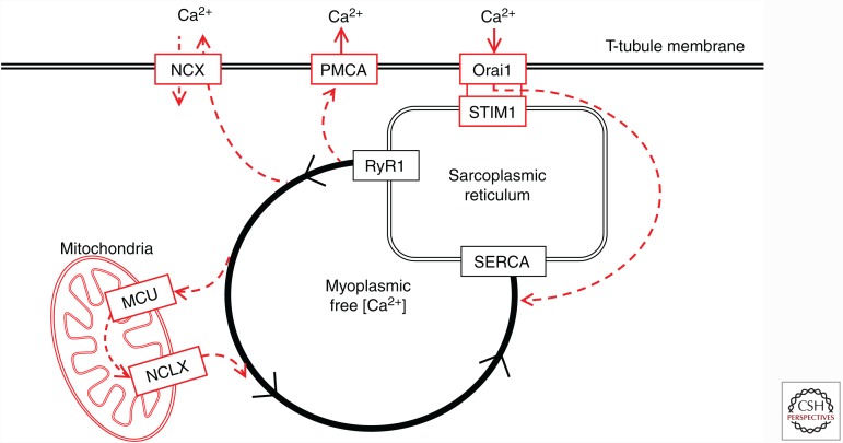 Figure 5.