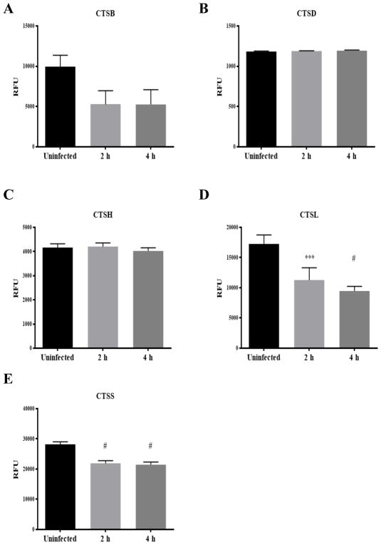 Fig 13