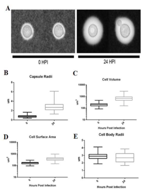 Fig 10