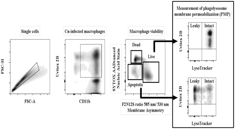 Fig 1