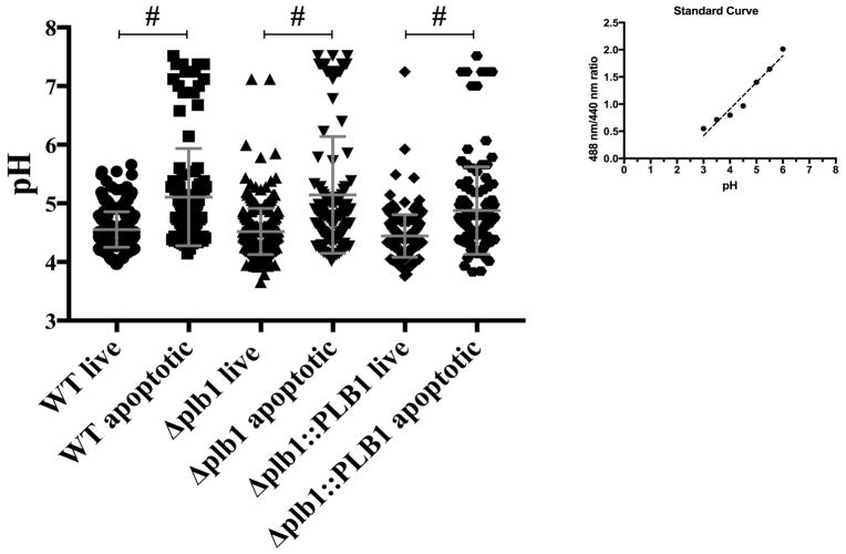 Fig 11