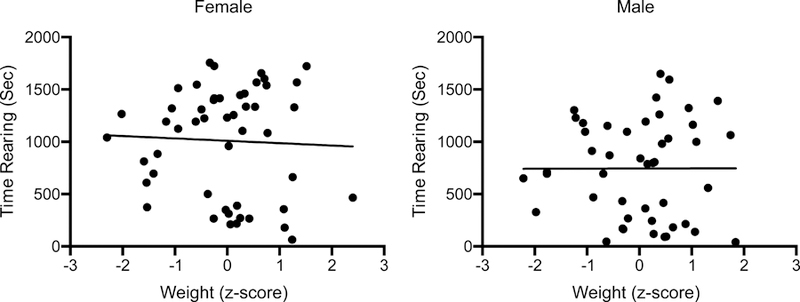 Figure 6: