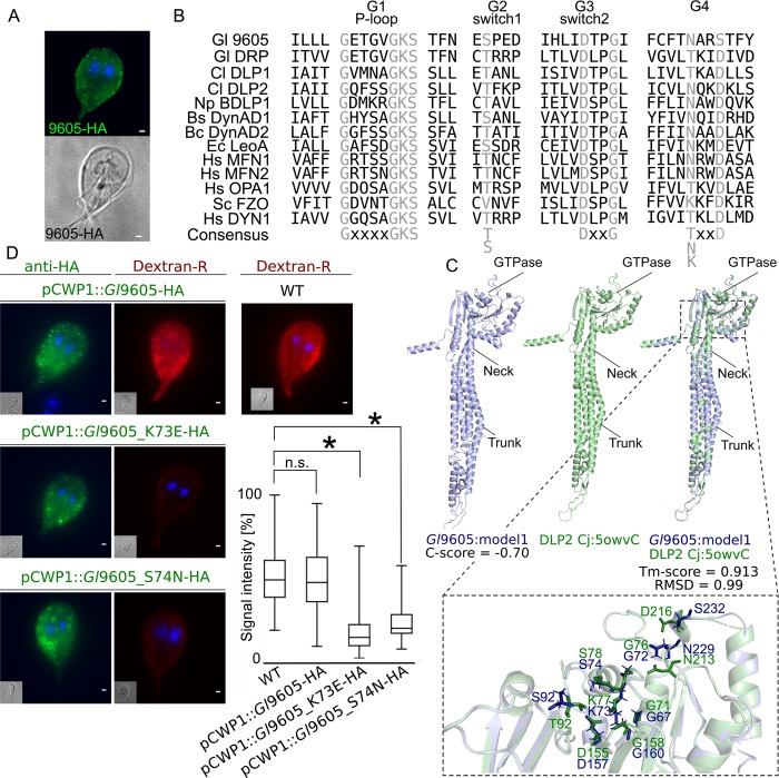 Fig 6