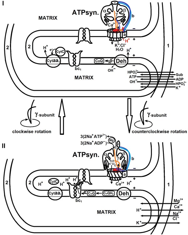 Fig. 3