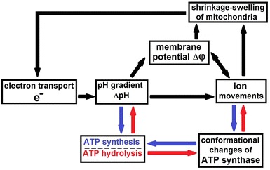 Scheme 1