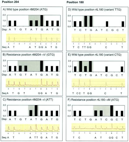 FIG. 2.