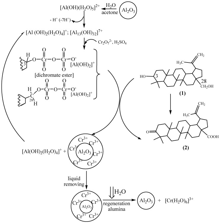 Scheme 1