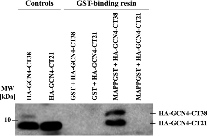 FIG 2